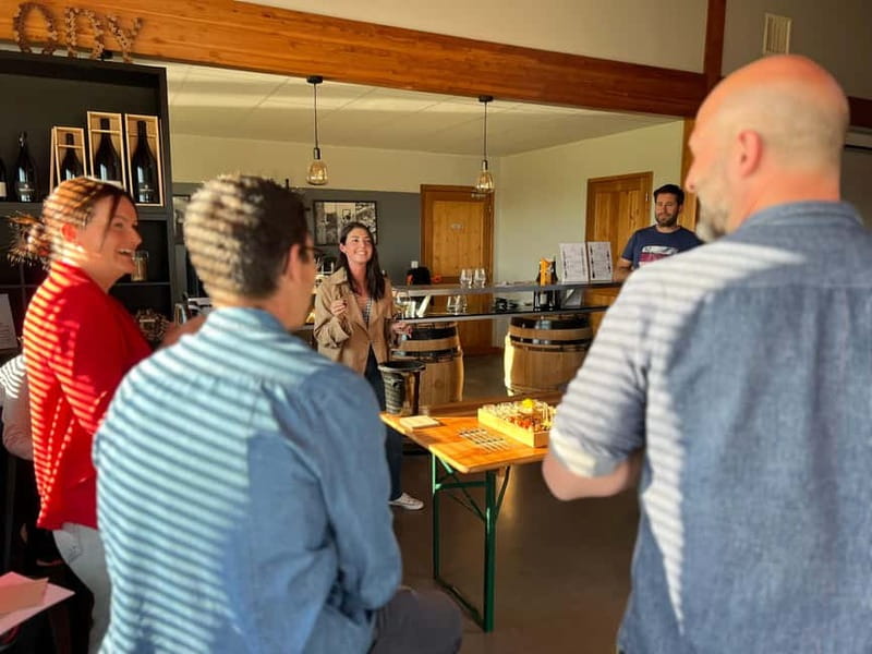 Tain l'Hermitage: Visit two wine estates and a Wine & Food Workshop - From vineyard rows to barrel cellar