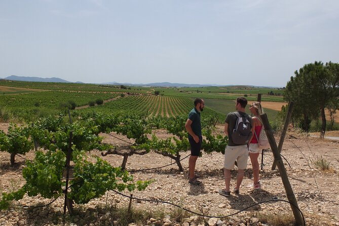 Tapas in the vineyards - Who will enjoy this day most