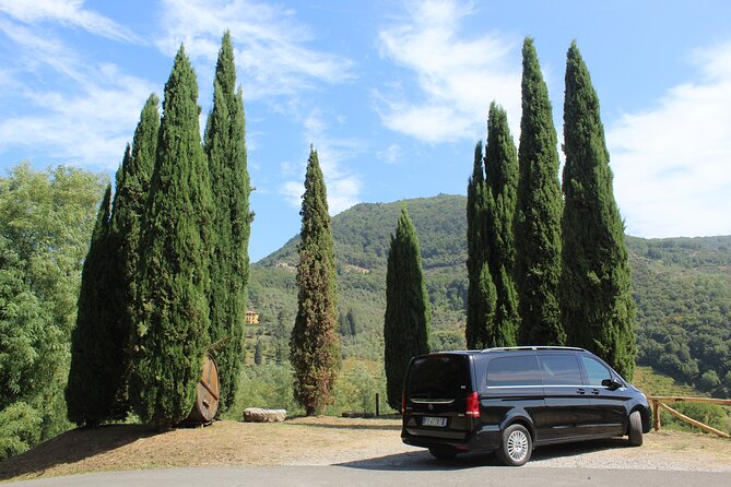 Tasting in a Tuscan Vineyard with transfer from Lucca - Key points to know before booking