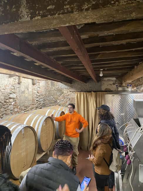 Tasting in a Tuscan Vineyard with transfer from Lucca - Should you book this Tuscan wine tasting?