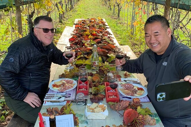Tasting in a Tuscan Vineyard with transfer from Lucca - Leaving Lucca for the Tuscan countryside