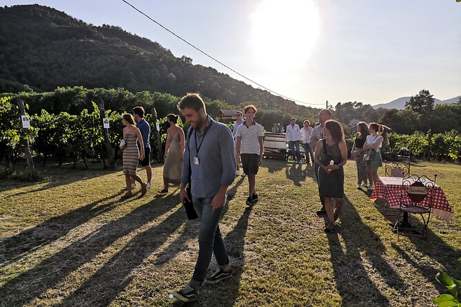 Tasting in a Tuscan Vineyard with transfer from Lucca - Is $107.63 a fair price?