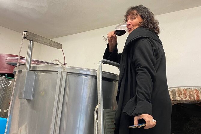 Tasting in a Tuscan Vineyard with transfer from Pisa - The value of $105 for four hours