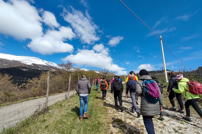 Tasting of Organic Mountain Wines with Vineyard and Cellar Tour - A mountain winery above Lake Garda