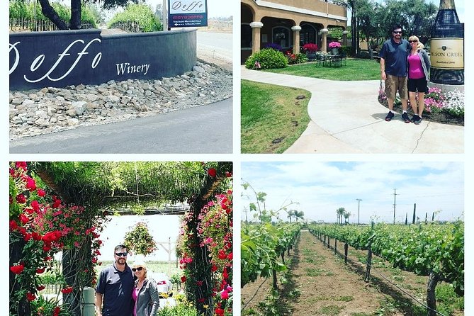 Temecula Valley Wineries and Vineyards Drink and Taste Tour From Orange County - Transportation is the strongest practical feature