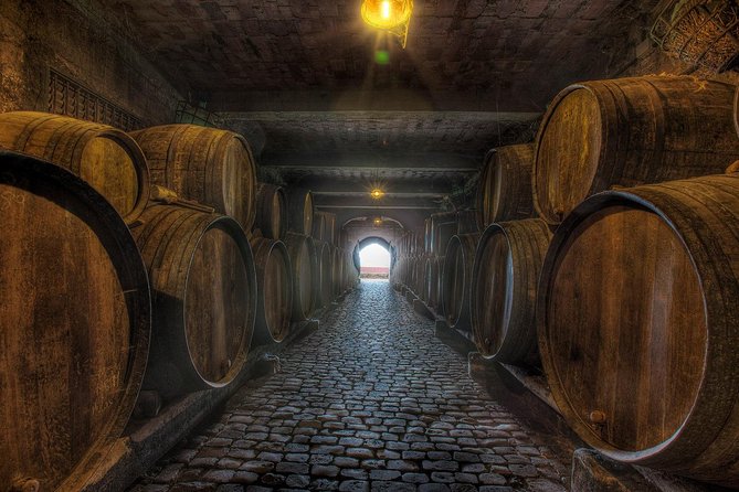 Tenerife Gastronomy Tour with Two Winery Visits and 4-Course Lunch - The views and the value of the lunch