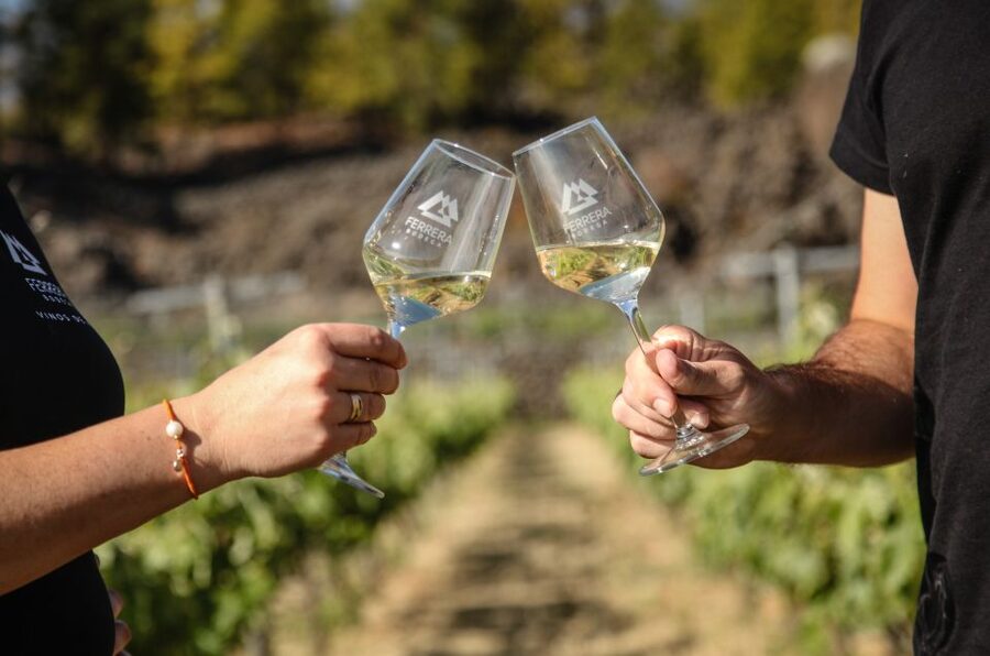 Tenerife: Tour of an Organic Vineyard with Tasting & Snacks - Should you book the Bodegas Ferrera vineyard tour?