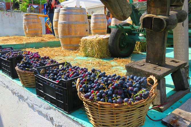 The wine route by bike - Why this bicycle tour is different from a normal Bucharest day trip