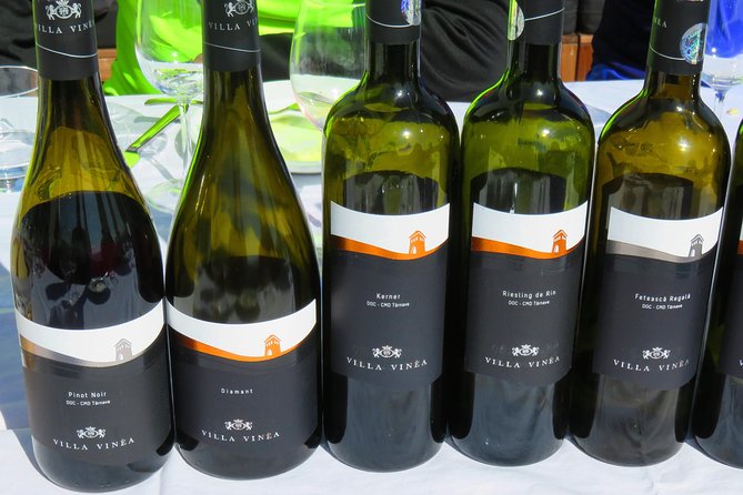 The wine route by bike - The optional gravel route is for stronger cyclists