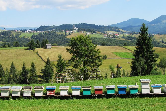 The wine route by bike - How the logistics affect the value