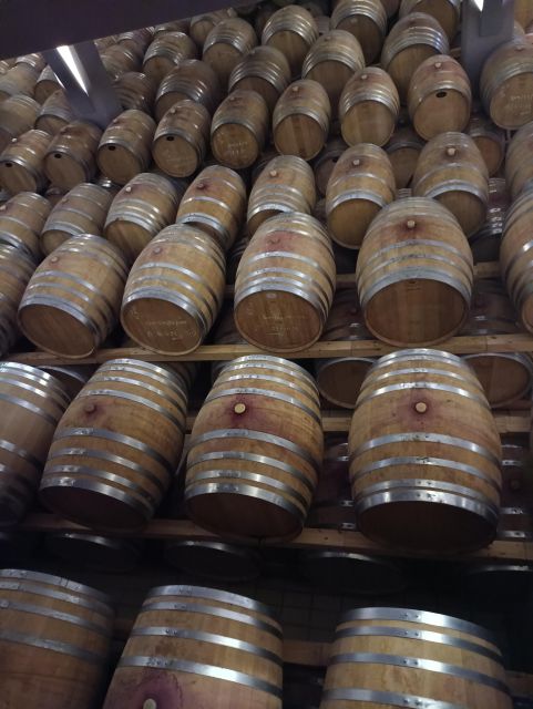 Thessaloniki: Winery Visit with Wine Tasting Experience - The 40-minute vineyard and museum visit