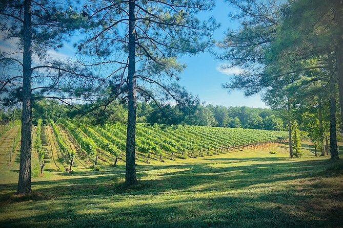 Three Vineyards Half Day Private Wine Tour From Asheville - Leaving Asheville for the Tryon foothills