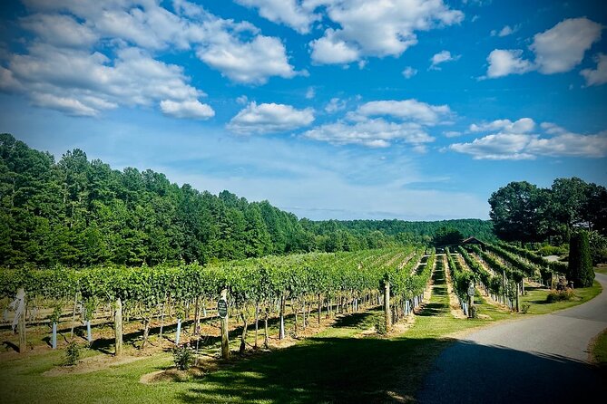 Three Vineyards Half Day Private Wine Tour From Asheville - Marked Tree Vineyard: a scenic finish with an extra charge