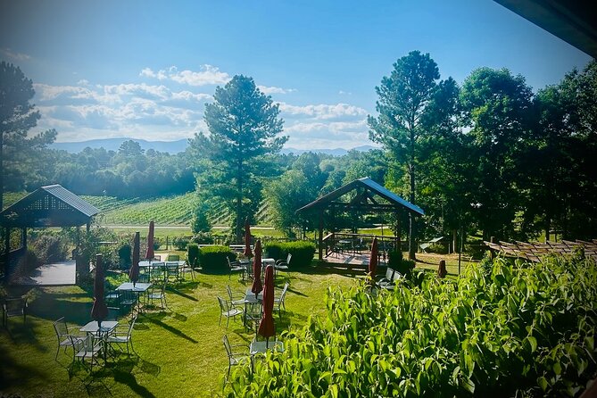 Three Vineyards Half Day Private Wine Tour From Asheville - Why the private format matters