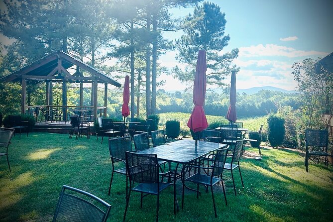 Three Vineyards Half Day Private Wine Tour From Asheville - Who will enjoy this day most