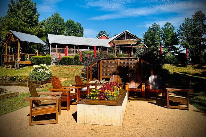 Three Vineyards Half Day Private Wine Tour From Asheville - Overmountain Vineyards: a scenic first tasting