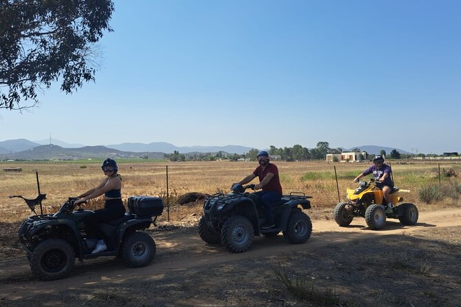 Thrilling ATV Ride Through Vineyards with Port Pickup - How the $129 price measures up