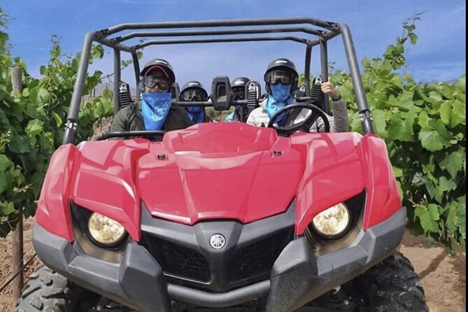 Thrilling ATV Ride Through Vineyards with Port Pickup - Practical details that can change your experience