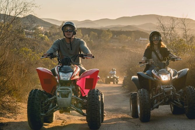 Thrilling ATV Ride Through Vineyards with Port Pickup - My take: should you book it?