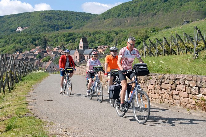 Through Alsace Vineyards and Wine Villages Private Bike Tour - Key points to know before booking