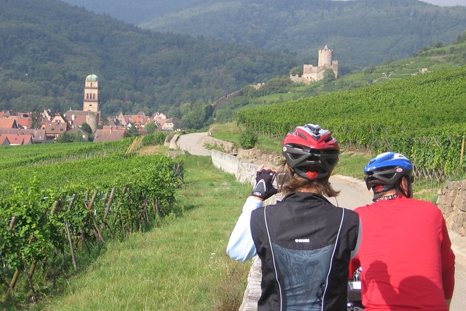 Through Alsace Vineyards and Wine Villages Private Bike Tour - Starting in Vœgtlinshoffen instead of Colmar