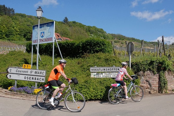 Through Alsace Vineyards and Wine Villages Private Bike Tour - Cruising through Alsace Grand Cru vineyards