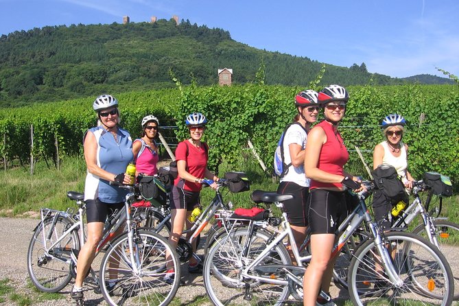 Through Alsace Vineyards and Wine Villages Private Bike Tour - Finishing with wine in Vœgtlinshoffen