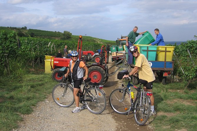 Through Alsace Vineyards and Wine Villages Private Bike Tour - What the price includes and what it does not