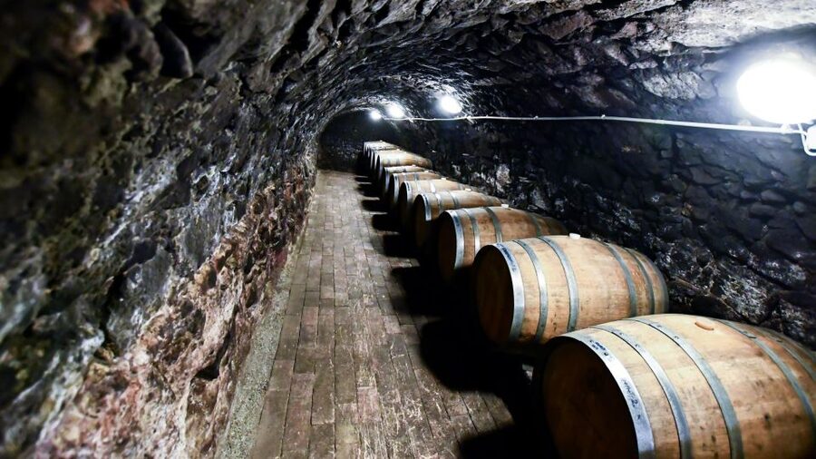 Tokaj: Vineyard Tour & Tasting - Key points to know before you book