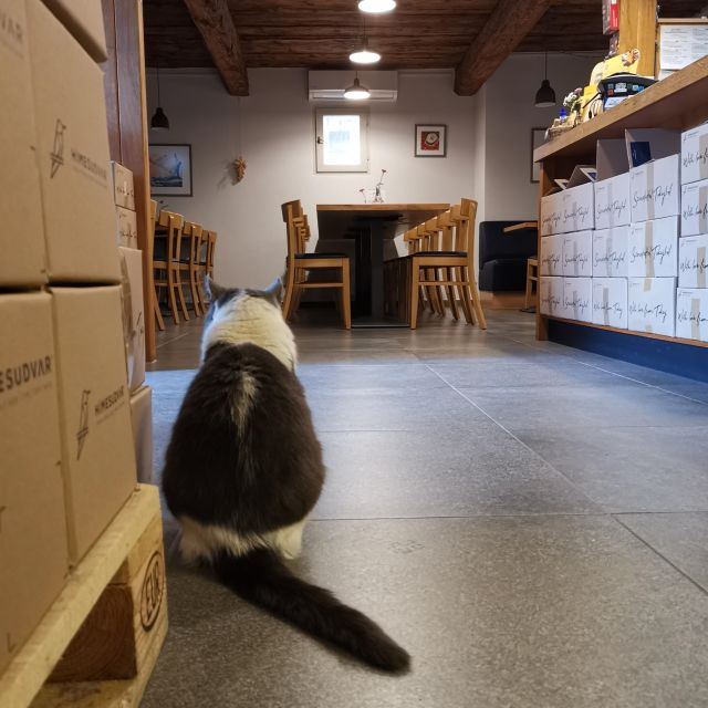 Tokaj: Vineyard Tour & Tasting - The included Kaleidoscope bottle adds real value
