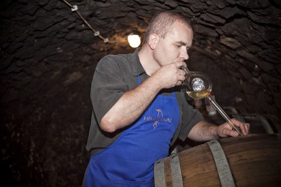 Tokaj: Vineyard Tour & Tasting - Starting with pickup in Tokaj, Tarcal, or Bodrogkeresztúr