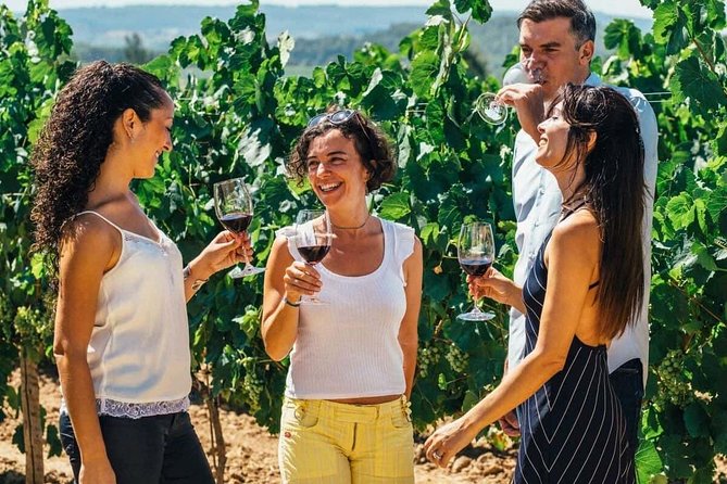 Toledo Tour & Vineyard Walk with Wine Tasting from Madrid - Why combine Toledo with a vineyard?