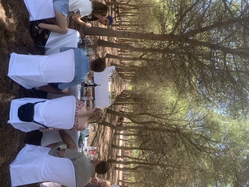 Torrevieja: Local Wine and Food Tasting Tour in La Mata Park - Starting at the La Mata Nature Park entrance