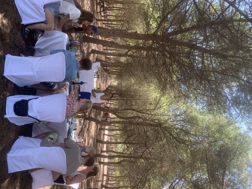 Torrevieja: Local Wine and Food Tasting Tour in La Mata Park - Walking the vineyard route through La Mata