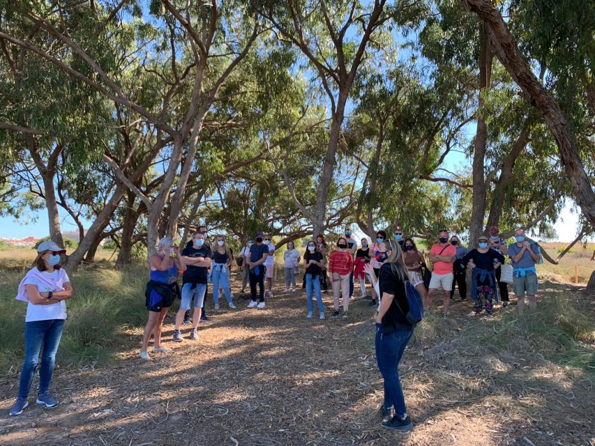 Torrevieja: Local Wine and Food Tasting Tour in La Mata Park - Olive oil, goat cheese, and two tapas