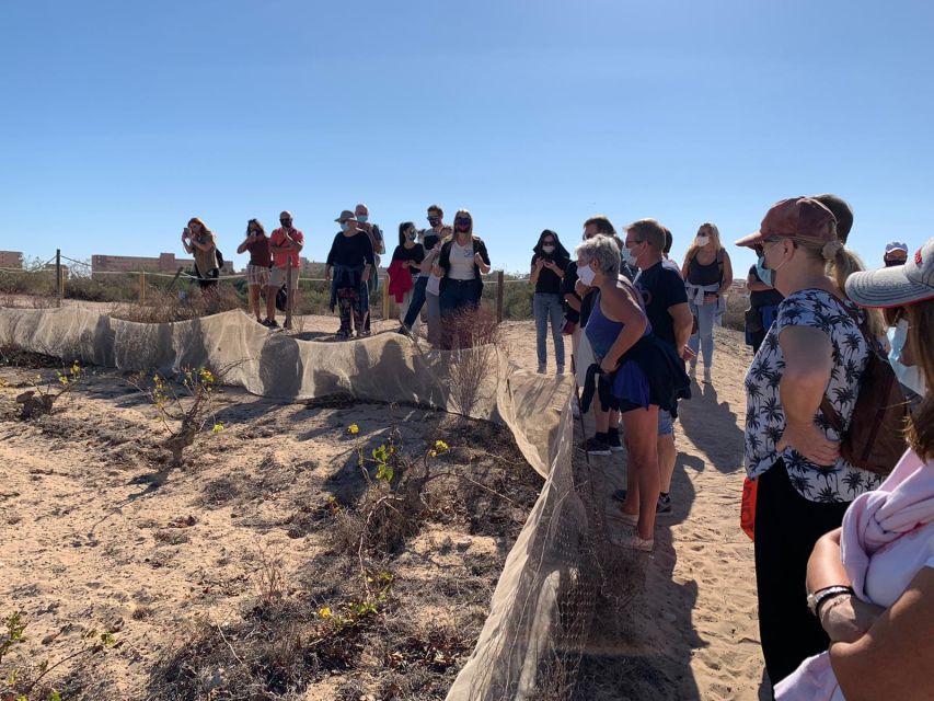 Torrevieja: Local Wine and Food Tasting Tour in La Mata Park - How the timing and heat affect the experience