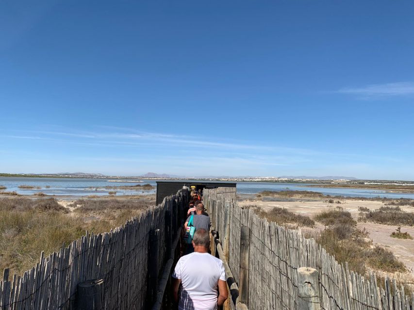 Torrevieja: Local Wine and Food Tasting Tour in La Mata Park - Wheelchair access needs a careful reality check