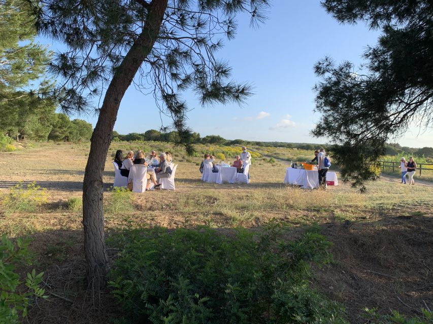 Torrevieja: Local Wine and Food Tasting Tour in La Mata Park - Who will get the most from this $45 tour