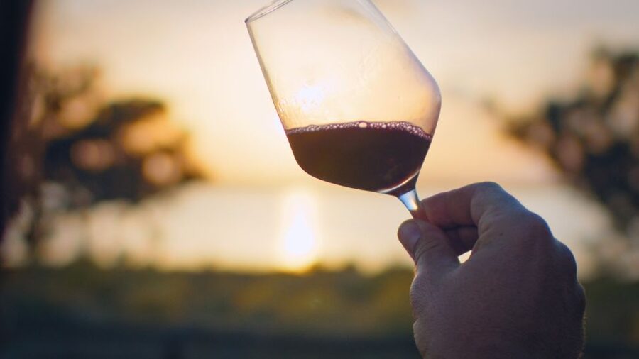 Torrevieja: Local Wine and Food Tasting Tour in La Mata Park - The lagoon viewpoint and possible flamingos