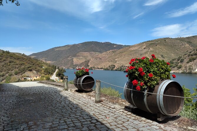 Tour- Douro Wine Region- The Douro Wine Route - Small producers and wines beyond the supermarket shelf