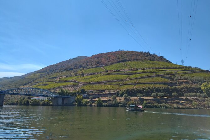 Tour- Douro Wine Region- The Douro Wine Route - Sabrosa and lunch at a 1735 residence