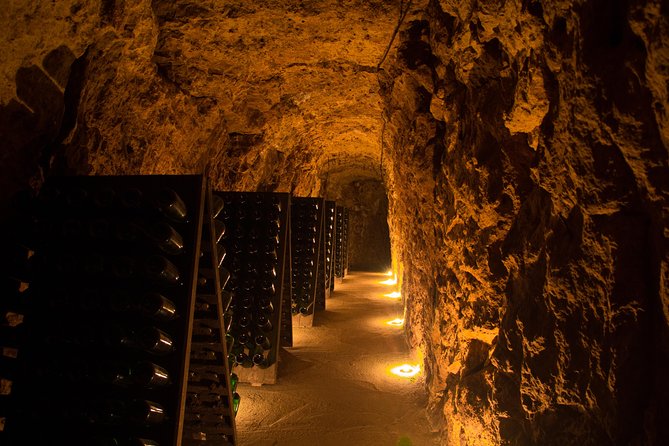 Tour of a Vineyard, Winery & Cellar with Wine Tasting in Vouvray, Loire Valley - Inside the winery and old cellar