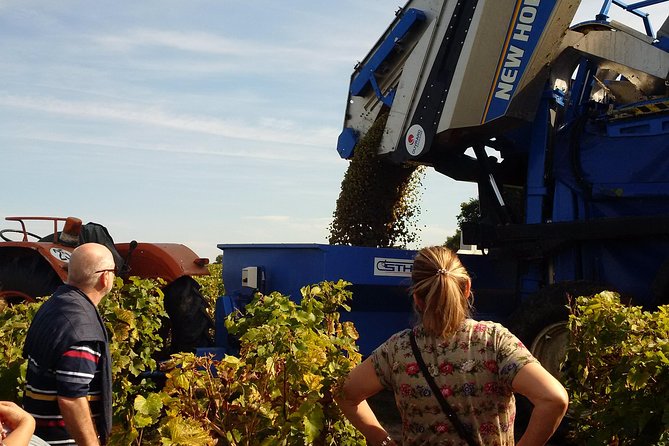 Tour of a Vineyard, Winery & Cellar with Wine Tasting in Vouvray, Loire Valley - What Myriam brings to the visit