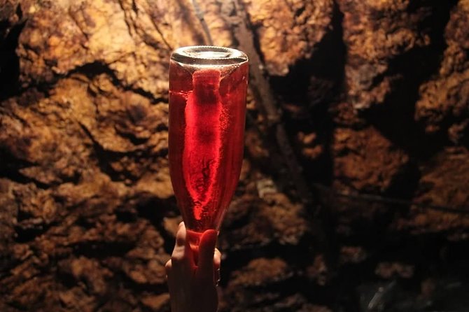 Tour of a Vineyard, Winery & Cellar with Wine Tasting in Vouvray, Loire Valley - Who should book this experience?