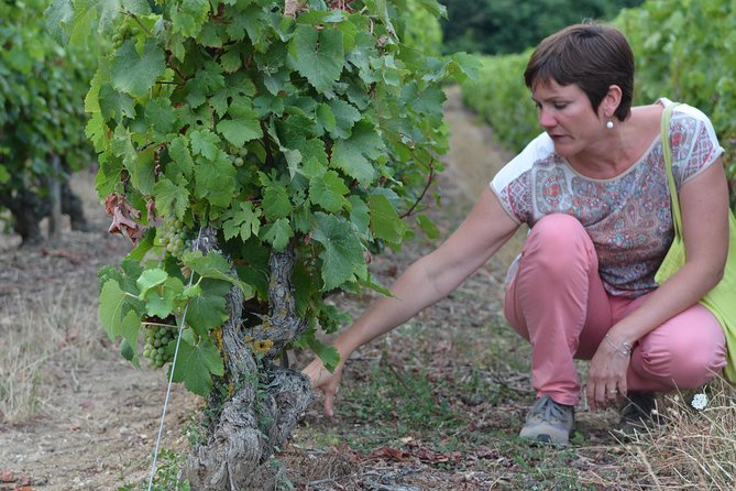 Tour of a Vineyard, Winery & Cellar with Wine Tasting in Vouvray, Loire Valley - Useful planning details before you go