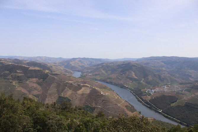 Tour the Douro wine region, and discover the fantastic landscape - The guide can shape the whole experience
