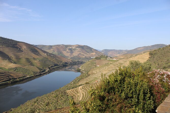 Tour the Douro wine region, and discover the fantastic landscape - Who should book this Douro experience