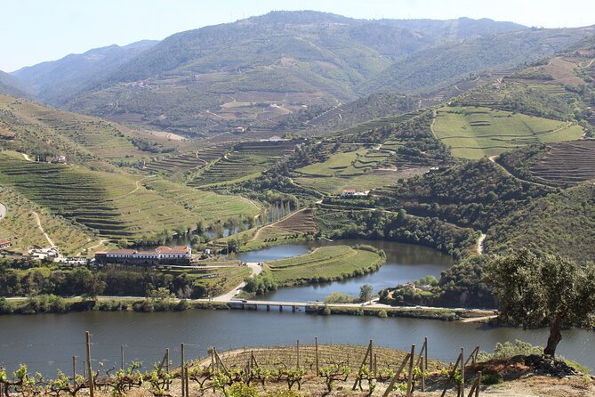Tour the Douro wine region, and discover the fantastic landscape - The private quinta visit, lunch, and wine tasting