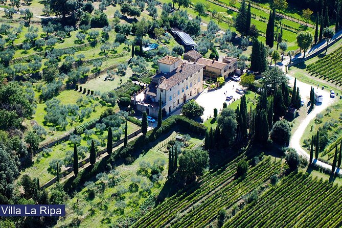 Tour through the vineyards and wine and olive oil tasting in Tuscany - Key points to know before booking