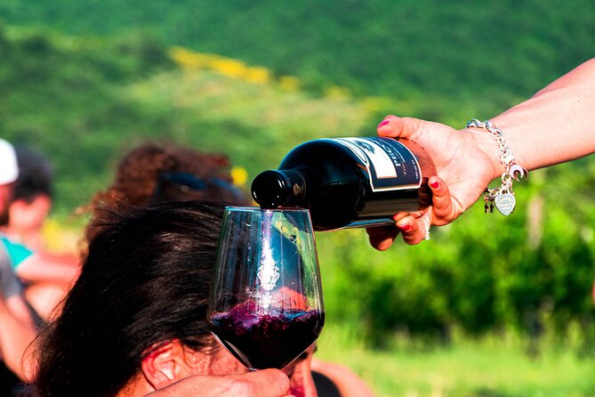 Tour through the vineyards and wine and olive oil tasting in Tuscany - Walking through the vineyard, weather permitting